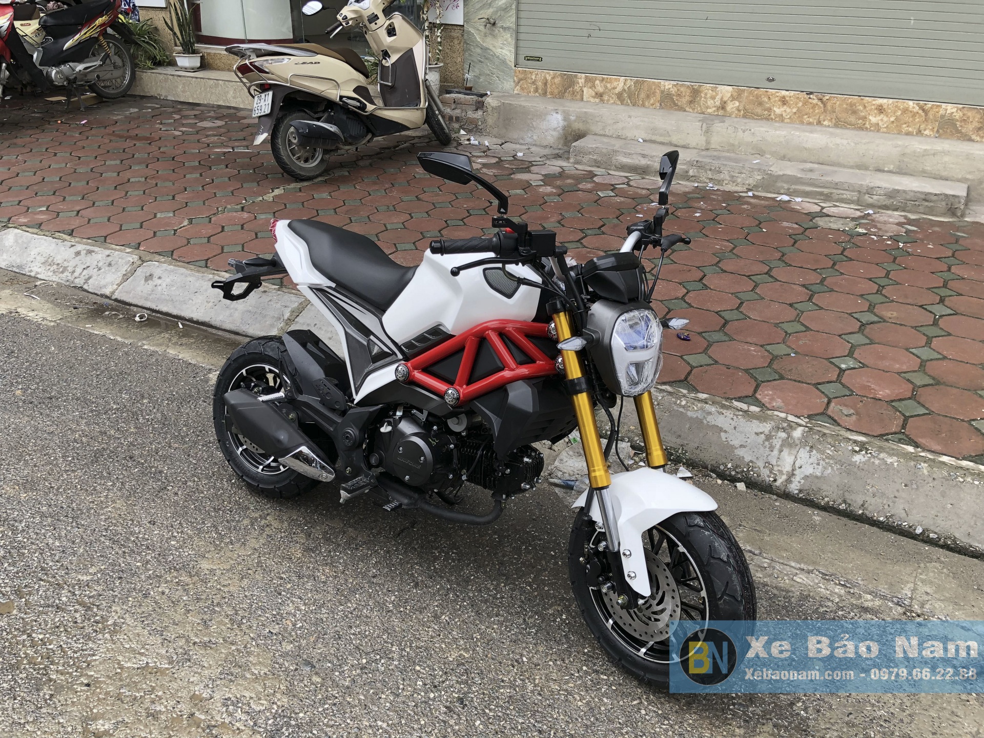 Ducati shop monster 50cc